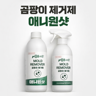 애니원샷 곰팡이 제거제 510ml